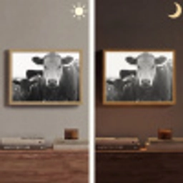 Koeien - Zwart - Wit Light Box met batterij (Wandlamp) middel -sfeer3