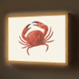 Krab - Felrood - Poten Light Box met batterij (Wandlamp) middel -z3d_website