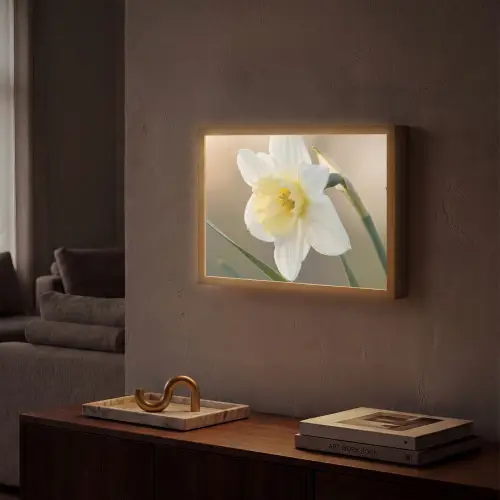 Narcis - Bloem - Minimalistisch Light Box met batterij (Wandlamp) middel -sfeer1
