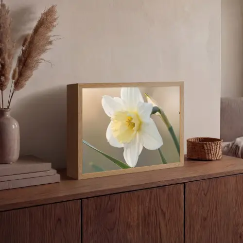 Narcis - Bloem - Minimalistisch Light Box met batterij (Wandlamp) middel -sfeer2