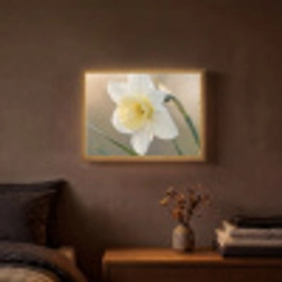 Narcis - Bloem - Minimalistisch Light Box met batterij (Wandlamp) middel -sfeer4