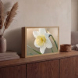 Narcis - Bloem - Minimalistisch Light Box met batterij (Wandlamp) middel -sfeer2