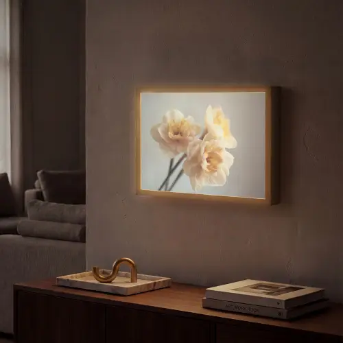 Narcissen - Geel - Bloemblaadjes Light Box met batterij (Wandlamp) middel -sfeer1