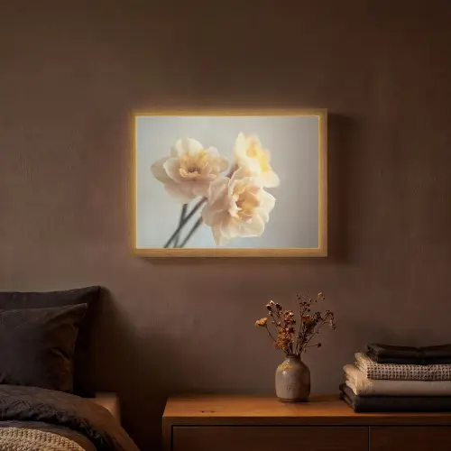 Narcissen - Geel - Bloemblaadjes Light Box met batterij (Wandlamp) middel -sfeer4