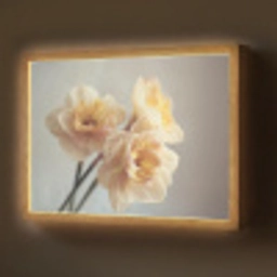 Narcissen - Geel - Bloemblaadjes Light Box met batterij (Wandlamp) middel -z3d_website
