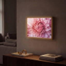 Dahlia - Bloem - Close up - Roze Light Box met batterij (Wandlamp) middel -sfeer1