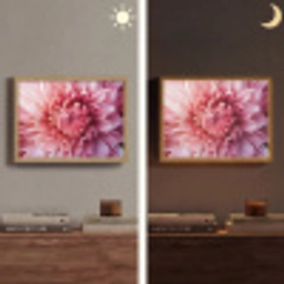 Dahlia - Bloem - Close up - Roze Light Box met batterij (Wandlamp) middel -sfeer3