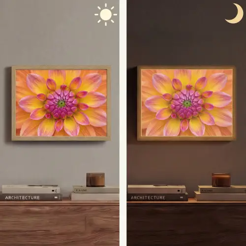 Dahlia - Bloem - Oranje Light Box met batterij (Wandlamp) middel -sfeer3