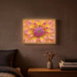 Dahlia - Bloem - Oranje Light Box met batterij (Wandlamp) middel -sfeer4
