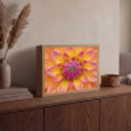 Dahlia - Bloem - Oranje Light Box met batterij (Wandlamp) middel -sfeer2