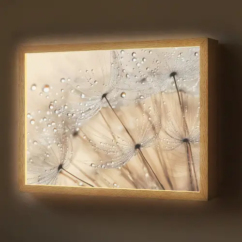 Paardenbloem - Abstract - Natuur - Beige Light Box met batterij (Wandlamp) middel -z3d_website