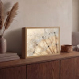 Paardenbloem - Abstract - Natuur - Beige Light Box met batterij (Wandlamp) middel -sfeer2