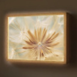 Paardenbloem - Beige - Abstract - Modern - Natuur Light Box met batterij (Wandlamp) middel -z3d_website