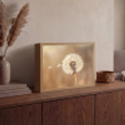Paardenbloem - Beige - Natuur - Bloem Light Box met batterij (Wandlamp) middel -sfeer2
