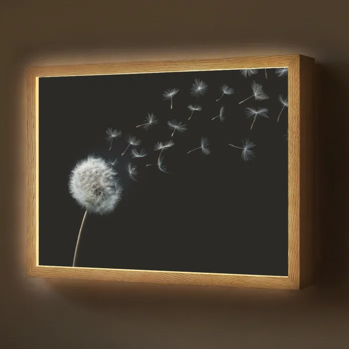 Paardenbloem - Zwart - Natuur Light Box met batterij (Wandlamp) middel -z3d_website