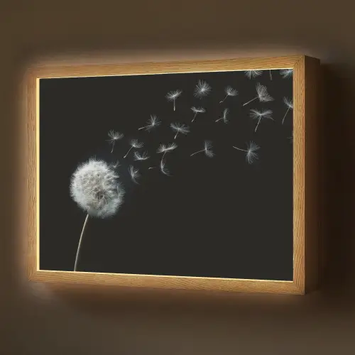 Paardenbloem - Zwart - Natuur Light Box met batterij (Wandlamp) middel -z3d_website