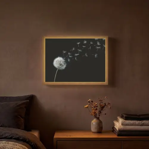 Paardenbloem - Zwart - Natuur Light Box met batterij (Wandlamp) middel -sfeer4