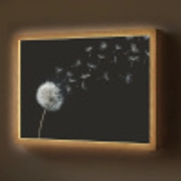 Paardenbloem - Zwart - Natuur Light Box met batterij (Wandlamp) middel -z3d_website