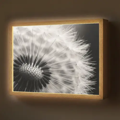 Paardenbloem - Zwart - Wit Light Box met batterij (Wandlamp) middel -z3d_website