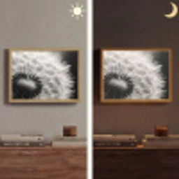 Paardenbloem - Zwart - Wit Light Box met batterij (Wandlamp) middel -sfeer3