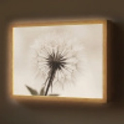 Paardenbloem - Minimalistisch - Wit Light Box met batterij (Wandlamp) middel -z3d_website