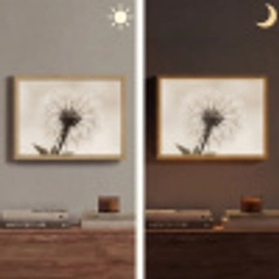 Paardenbloem - Minimalistisch - Wit Light Box met batterij (Wandlamp) middel -sfeer3