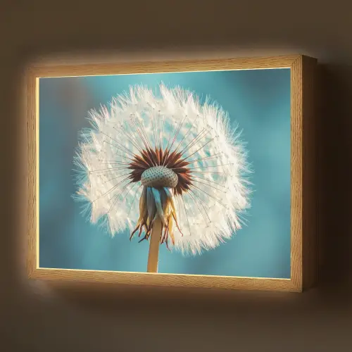 Paardenbloem - Natuur - Bloemen - Blauw Light Box met batterij (Wandlamp) middel -z3d_website