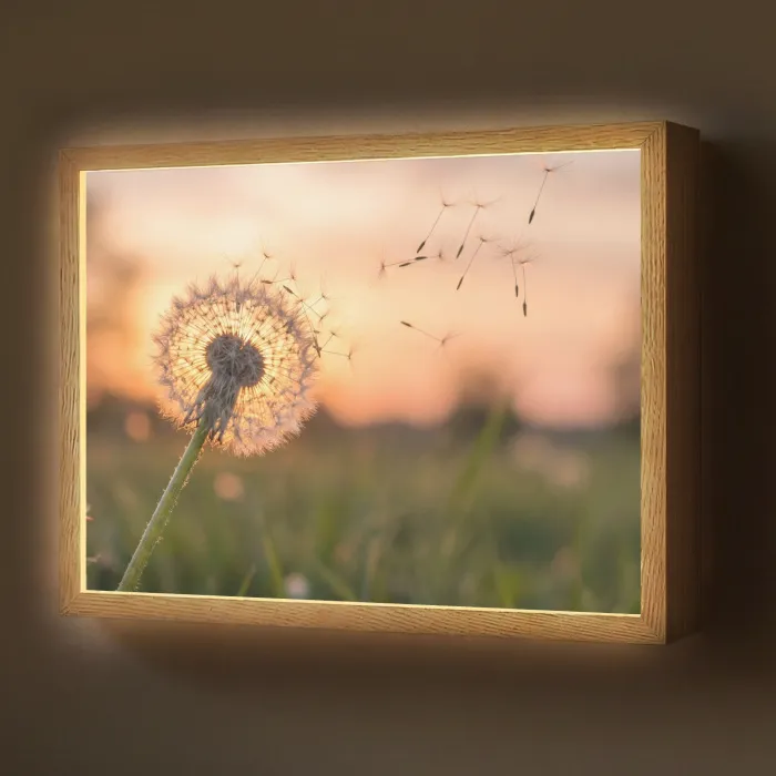 Paardenbloem - Zonsondergang - Veld Light Box met batterij (Wandlamp) middel -z3d_website