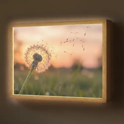Paardenbloem - Zonsondergang - Veld Light Box met batterij (Wandlamp) middel -z3d_website
