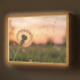 Paardenbloem - Zonsondergang - Veld Light Box met batterij (Wandlamp) middel -z3d_website