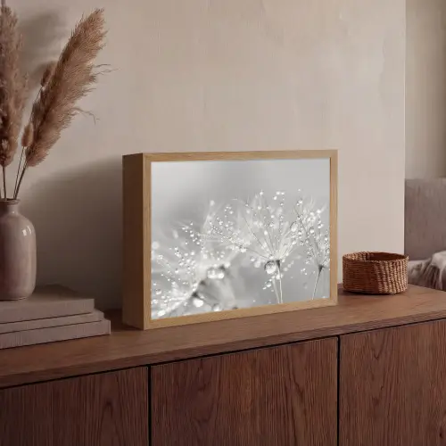 Paardenbloem - Waterdruppels - Stilleven - Modern Light Box met batterij (Wandlamp) middel -sfeer2