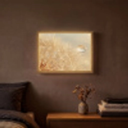 Paardenbloem - Water - Natuur - Planten - Modern Light Box met batterij (Wandlamp) middel -sfeer4