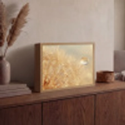 Paardenbloem - Water - Natuur - Planten - Modern Light Box met batterij (Wandlamp) middel -sfeer2