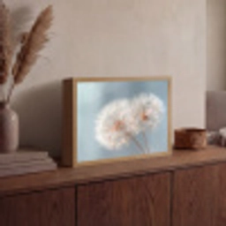Paardenbloemen - Pluisjes - Wit Light Box met batterij (Wandlamp) middel -sfeer2