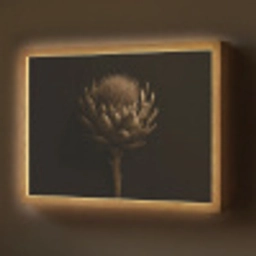 Donkerbruin - Bloem - Textuur - Artisjok Light Box met batterij (Wandlamp) middel -z3d_website