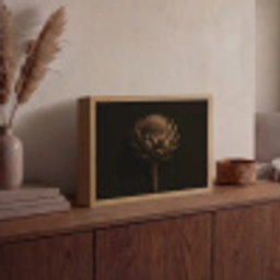 Donkerbruin - Bloem - Textuur - Artisjok Light Box met batterij (Wandlamp) middel -sfeer2