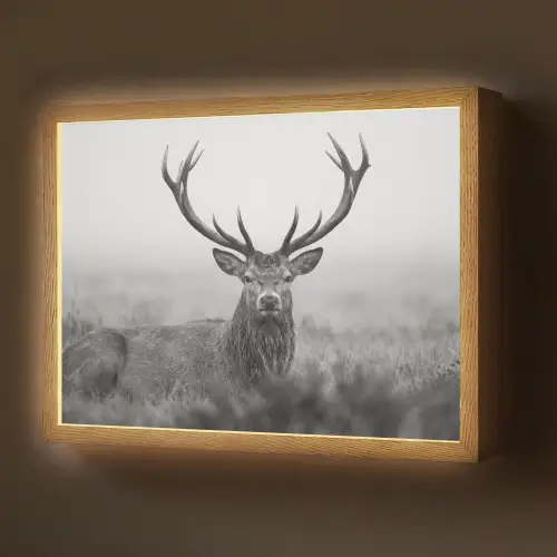 Hert - Mistig - Zwart - Wit Light Box met batterij (Wandlamp) middel -z3d_website