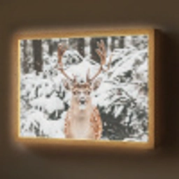 Hert - Sneeuw - Winter - Bos - Dieren Light Box met batterij (Wandlamp) middel -z3d_website