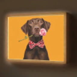 Hond - Oranje - Roos - Valentijn Light Box met batterij (Wandlamp) middel -z3d_website