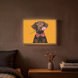 Hond - Oranje - Roos - Valentijn Light Box met batterij (Wandlamp) middel -sfeer4