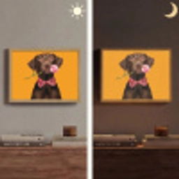 Hond - Oranje - Roos - Valentijn Light Box met batterij (Wandlamp) middel -sfeer3