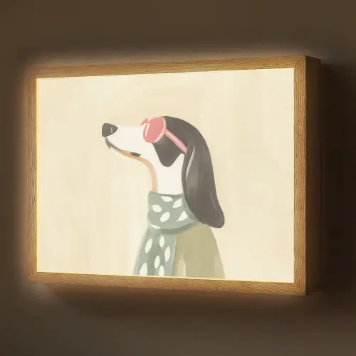 Hond - Zonnebril - Sjaal Light Box met batterij (Wandlamp) middel -z3d_website