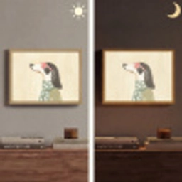 Hond - Zonnebril - Sjaal Light Box met batterij (Wandlamp) middel -sfeer3