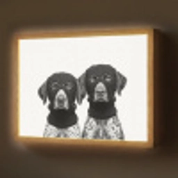 Honden - Bivakmuts - Zwart - wit Light Box met batterij (Wandlamp) middel -z3d_website