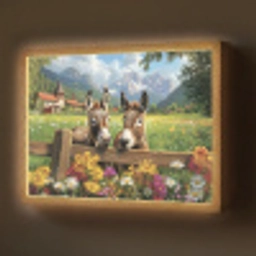 Ezels - Bloemen - Zomers Light Box met batterij (Wandlamp) middel -z3d_website