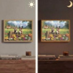 Ezels - Bloemen - Zomers Light Box met batterij (Wandlamp) middel -sfeer3