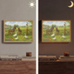 Ezels - Ganzen - Kleurrijk Light Box met batterij (Wandlamp) middel -sfeer3