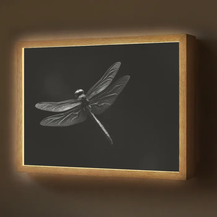 Libelle - Dieren - Zwart - Insect Light Box met batterij (Wandlamp) middel -z3d_website