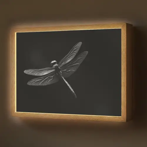 Libelle - Dieren - Zwart - Insect Light Box met batterij (Wandlamp) middel -z3d_website