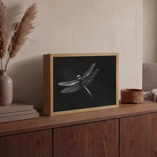 Libelle - Dieren - Zwart - Insect Light Box met batterij (Wandlamp) middel -sfeer2